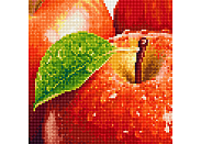 Алмазная вышивка Фрея ALV-4 04 "Спелое яблоко"
