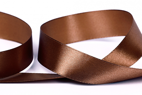 Атласная лента Gamma 25 мм №100