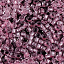 38298-1