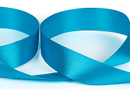 Атласная лента Gamma 25 мм №504N (17-4436)