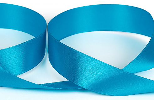 Атласная лента Gamma 25 мм №504N (17-4436)